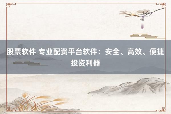 股票软件 专业配资平台软件：安全、高效、便捷投资利器