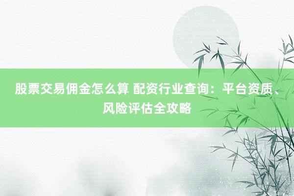 股票交易佣金怎么算 配资行业查询：平台资质、风险评估全攻略