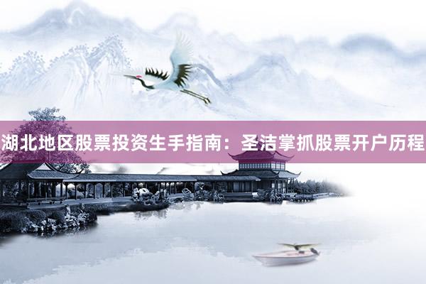 湖北地区股票投资生手指南：圣洁掌抓股票开户历程