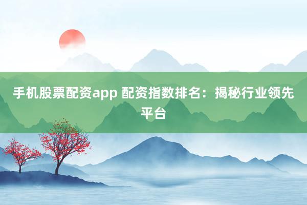 手机股票配资app 配资指数排名：揭秘行业领先平台