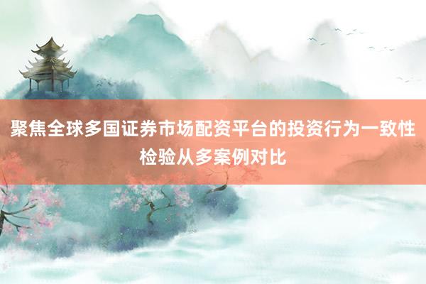聚焦全球多国证券市场配资平台的投资行为一致性检验从多案例对比
