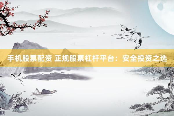 手机股票配资 正规股票杠杆平台：安全投资之选